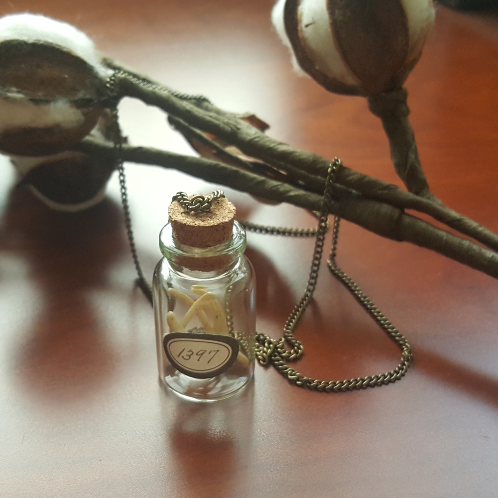 Wish bone apothecary collection necklace
